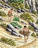 Palaeolithic plant gathering,artwork