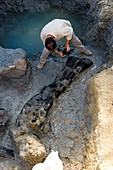 Palaeontological excavation,France