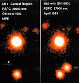 Discovery of supernova 1993J