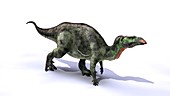 Camptosaurus dinosaur,artwork
