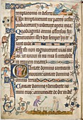 Medieval farming,Luttrell Psalter folio