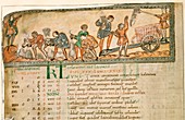 Haymaking in June,Anglo-Saxon calendar