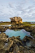 Intertidal zone,South Africa