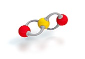 Sulphur dioxide molecule,artwork