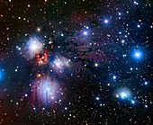 Reflection nebula (NGC 2170)