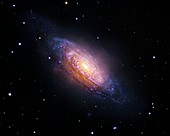 Spiral galaxy NGC 3521,optical image