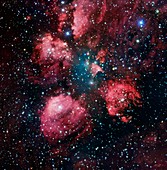 Cat's Paw nebula,optical image