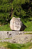 Glacial erratic boulder