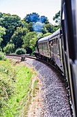 Steam Train