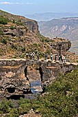 Bird watchers,Ethiopia