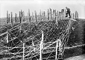 Barbed wire trench defences,World War I