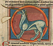 Monoceros with a large horn