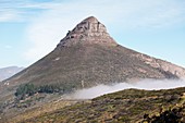 Lion's Head mountain,South Africa