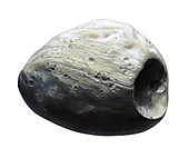 Martian moon Phobos,artwork
