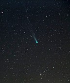 Comet ISON,November 2013