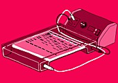 Gel electrophoresis,illustration