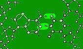 Adenine-thymine bond,illustration