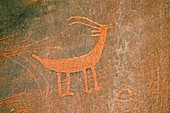 Petroglyphs,Monument Valley,USA