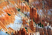 Sandstone hoodoos,Bryce Canyon,USA