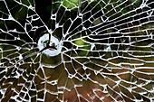 Cracked safety glass