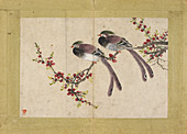 Pair of birds on plum branch