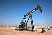 Oil pump,Oman