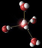 Hydrogen bonding in water,artwork