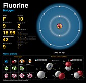 Fluorine,atomic structure