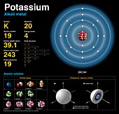 Potassium,atomic structure
