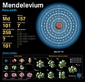 Mendelevium,atomic structure