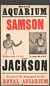 Samson v Jackson