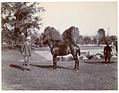 Sir Hugh Barnes with his horse