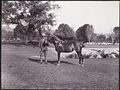 Sir Hugh Barnes with his horse