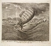 A balloon in danger at sea