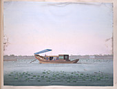 Boat with a canopy