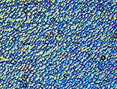 Solar cell,monocrystalline,Micrograph