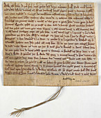 Charter of Brenchley,co. Kent
