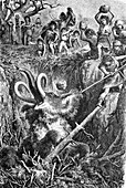 Cavemen hunting mammoth,historic artwork