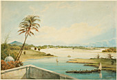 The Adyar River