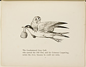 Grey gull,carrying owl and carpet bag