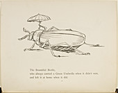 Beetle with umbrella