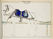 Artillery horse furniture