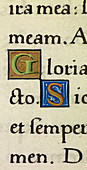 Manuscript ornamental letters G and S