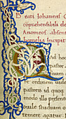 Q From A Life of Christ Manuscript