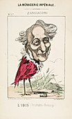 French Caricature - L'Ibis