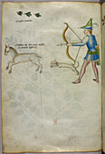 Man with a bow shooting at an animal