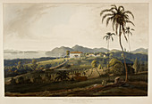 Glugor House and spice plantations