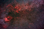 Milky Way and Cygnus