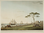 A fleet of ships in harbour. Calcutta