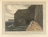 Cormorants Cave on the cliffs of Staffa
